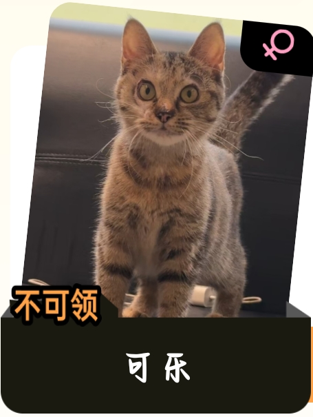 可乐