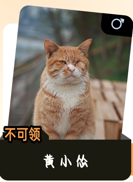 黄小怂